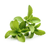 stevia